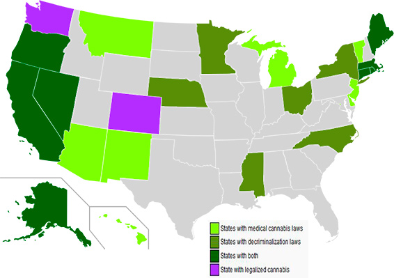Cannabis State Laws